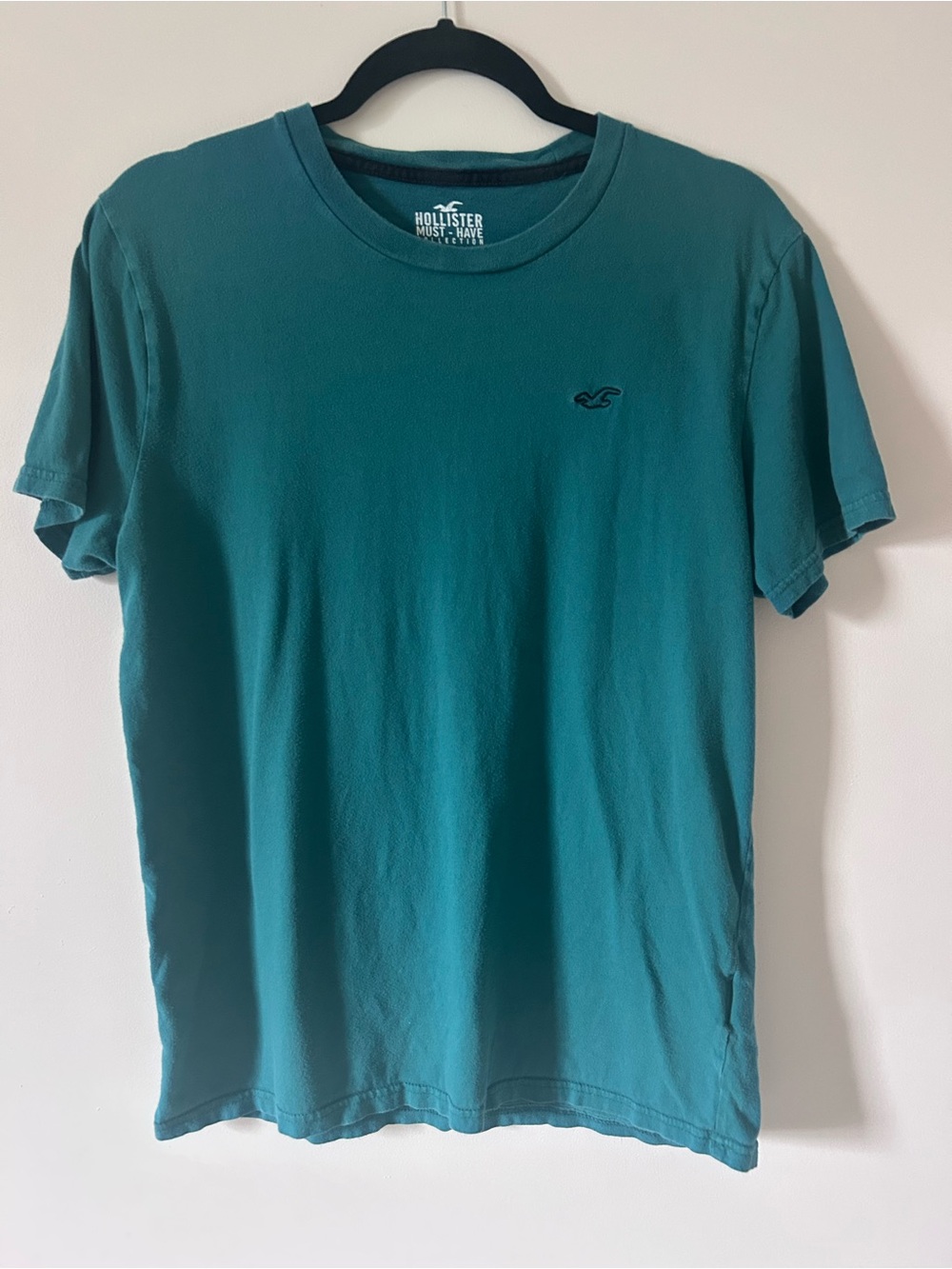 Hollister Mens Must-Have Collection Icon T-Shirt Teal Green Size M 100% Cotton